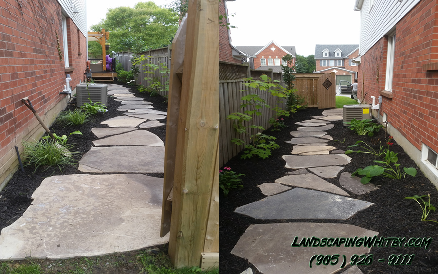 flag stone side yard